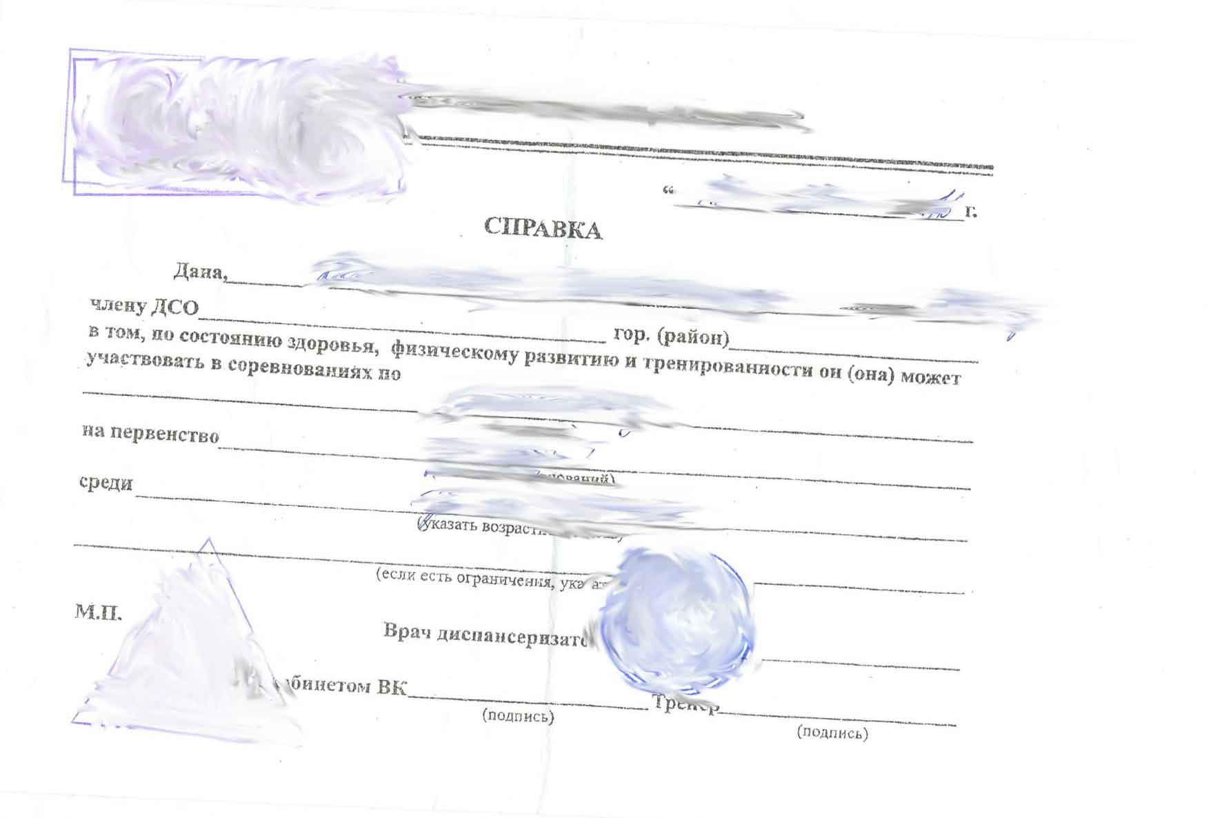 справка для секции фото